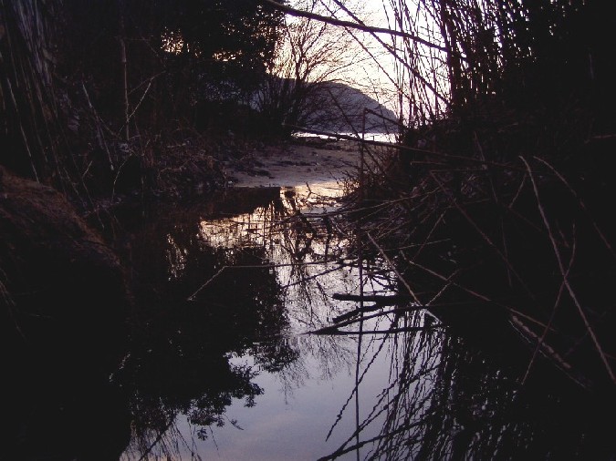 I fossi e lo stagno di Baratti (Piombino - LI)